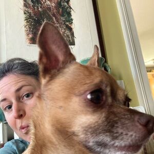 Meet your Posher, Kate